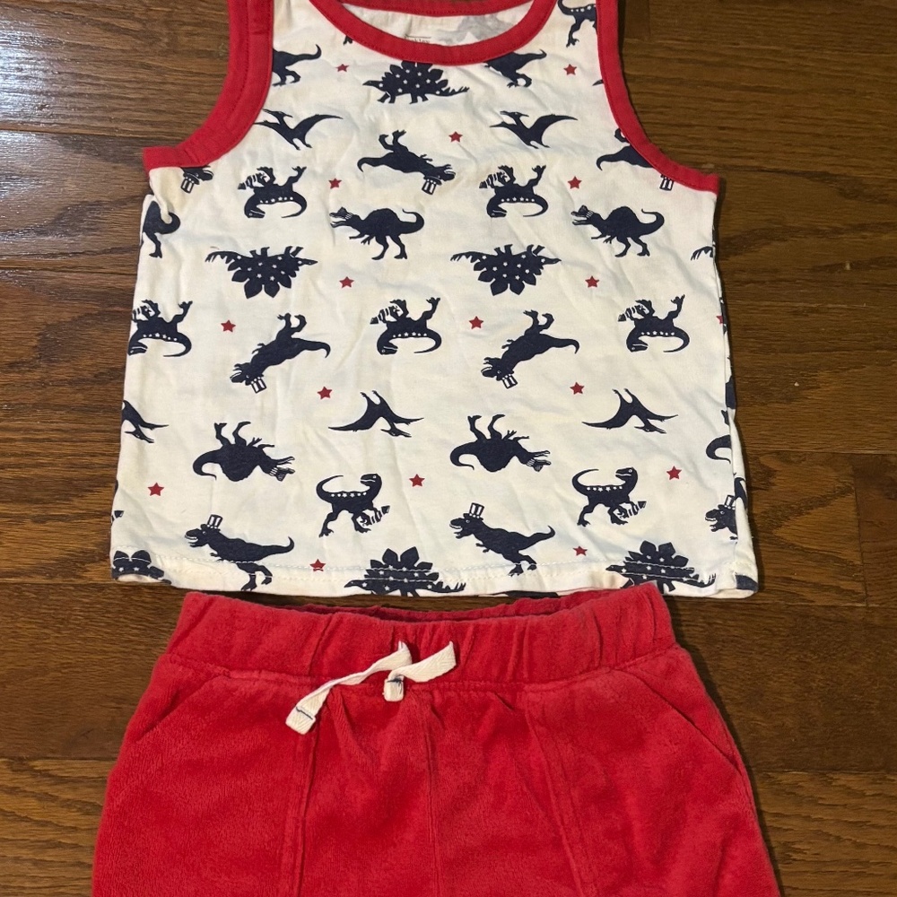 Toddler Dinosaur Outfit